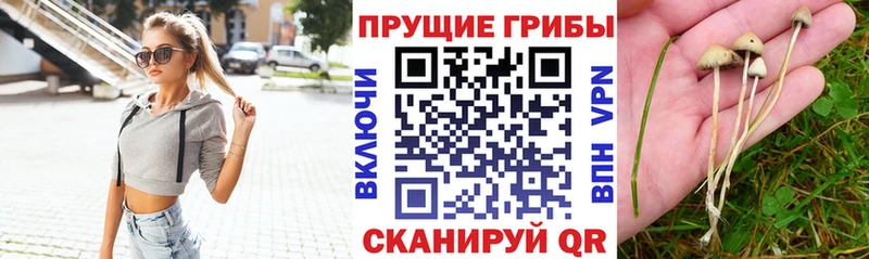 Галлюциногенные грибы ЛСД  Горняк 
